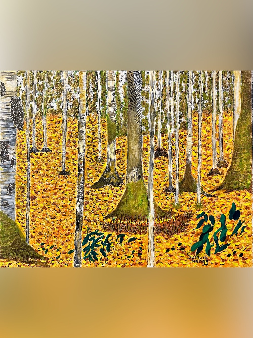 Silver Birch Heaven